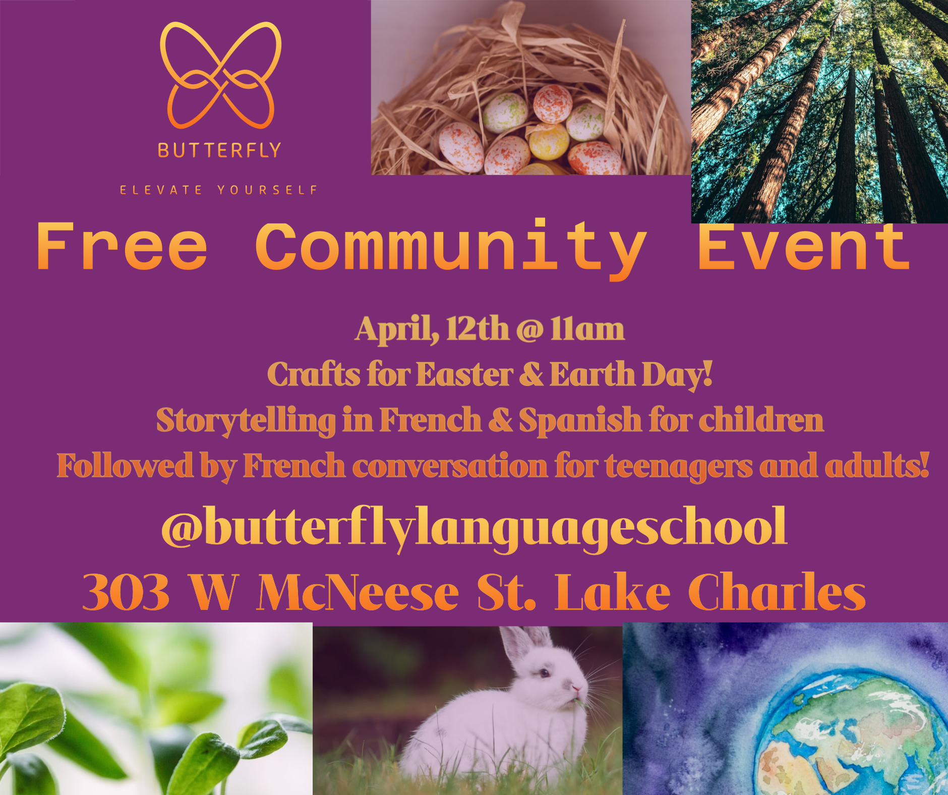 Butterfly Language School, LLC's image