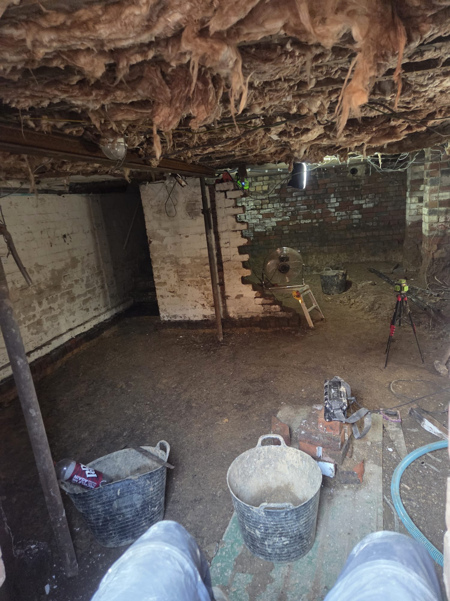 Basement Dreams 's image