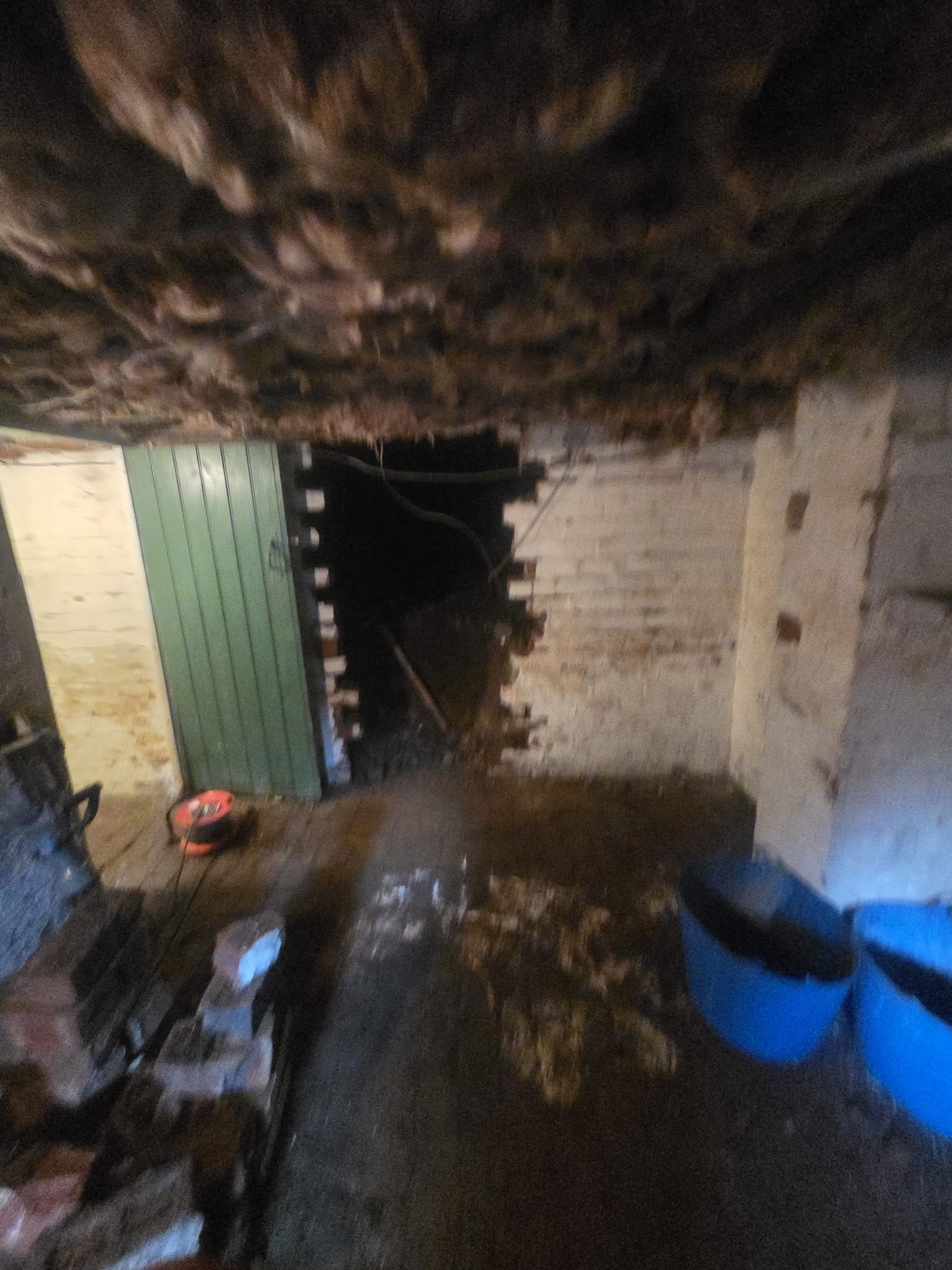 Basement Dreams 's image