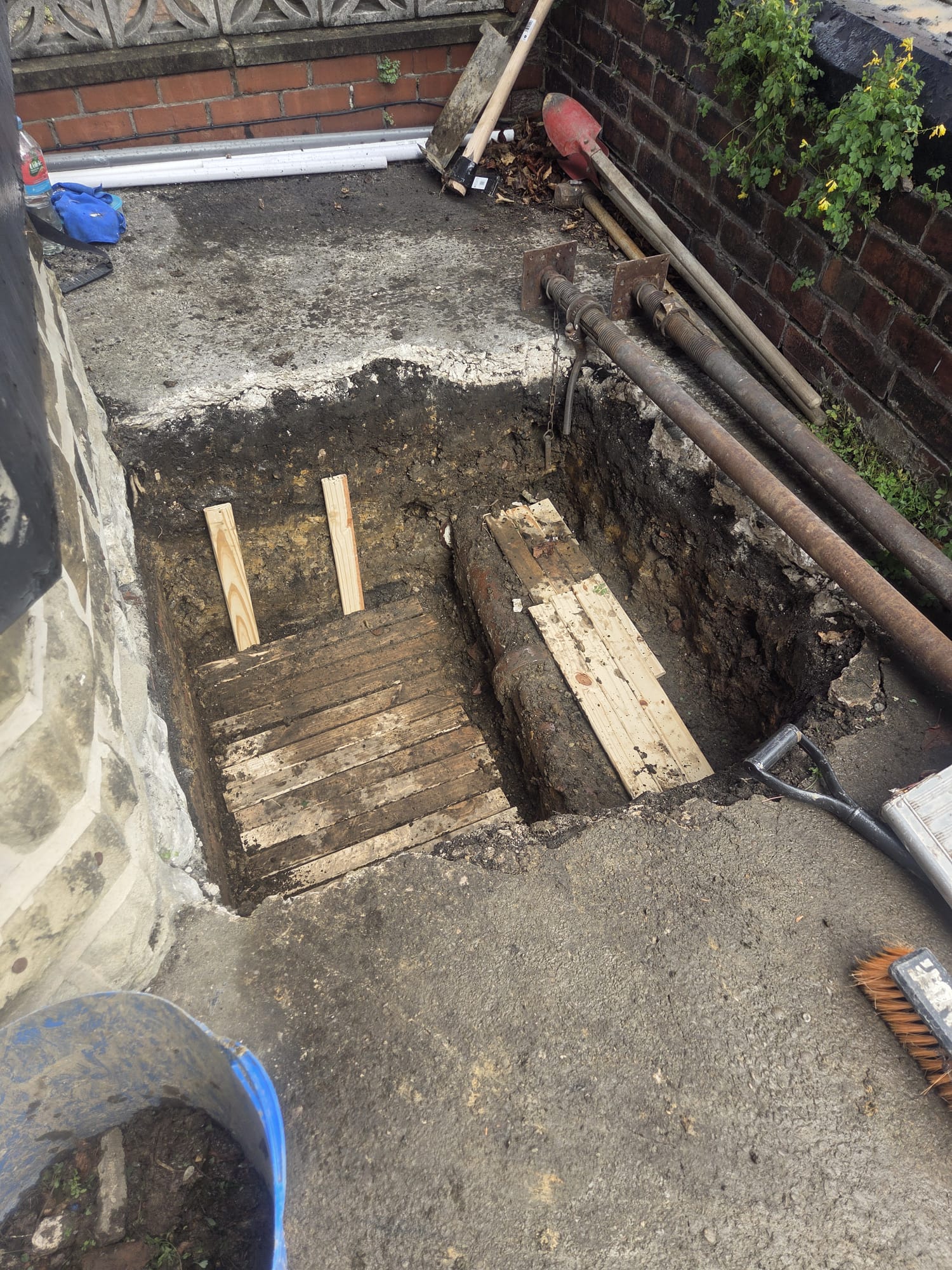 Basement Dreams 's image