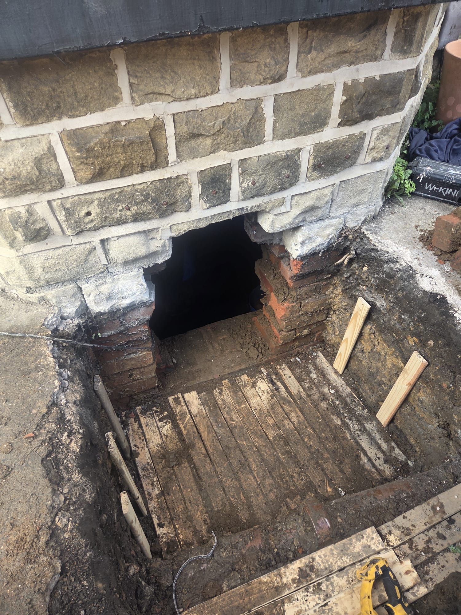 Basement Dreams 's image