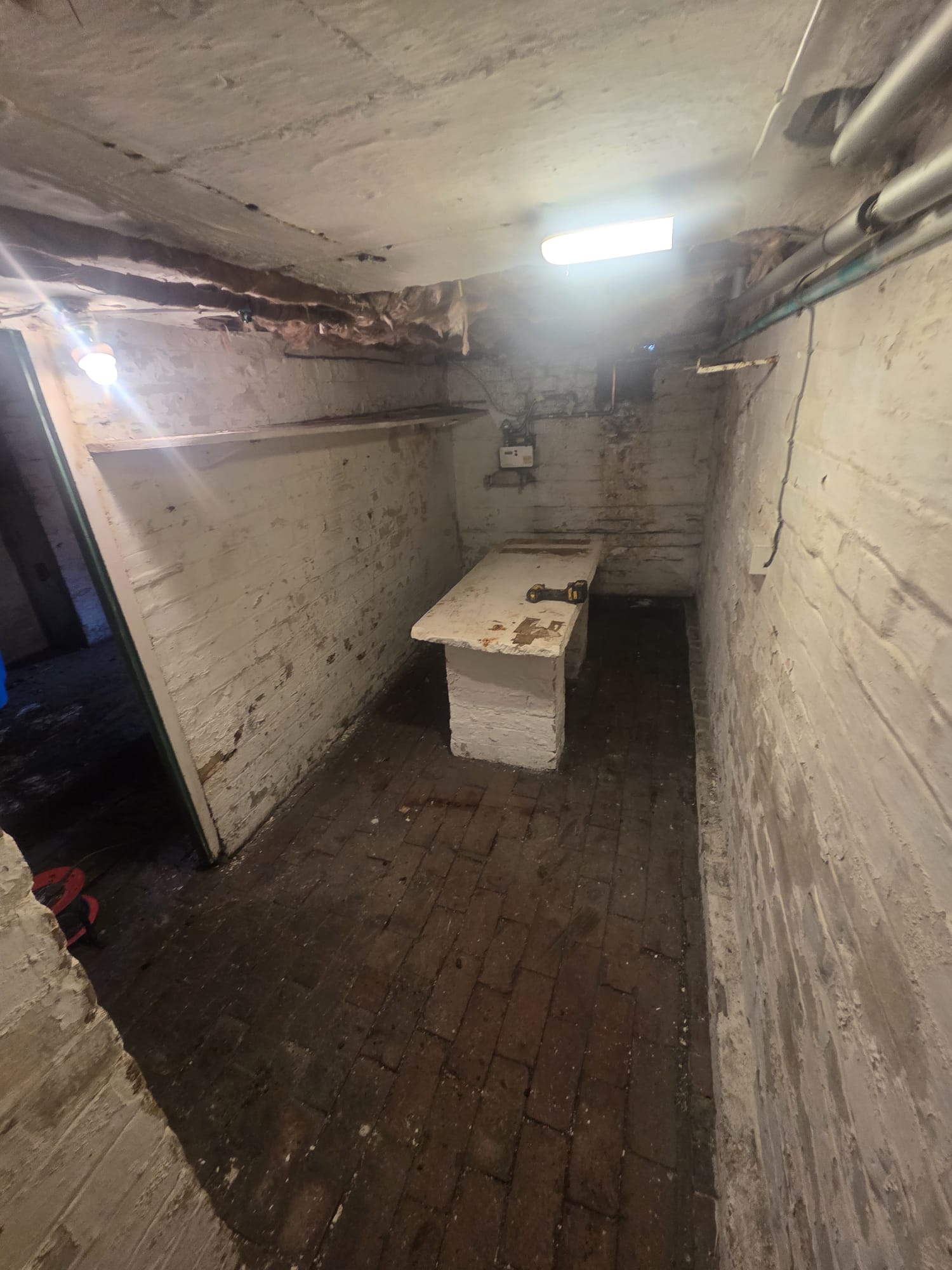 Basement Dreams 's image