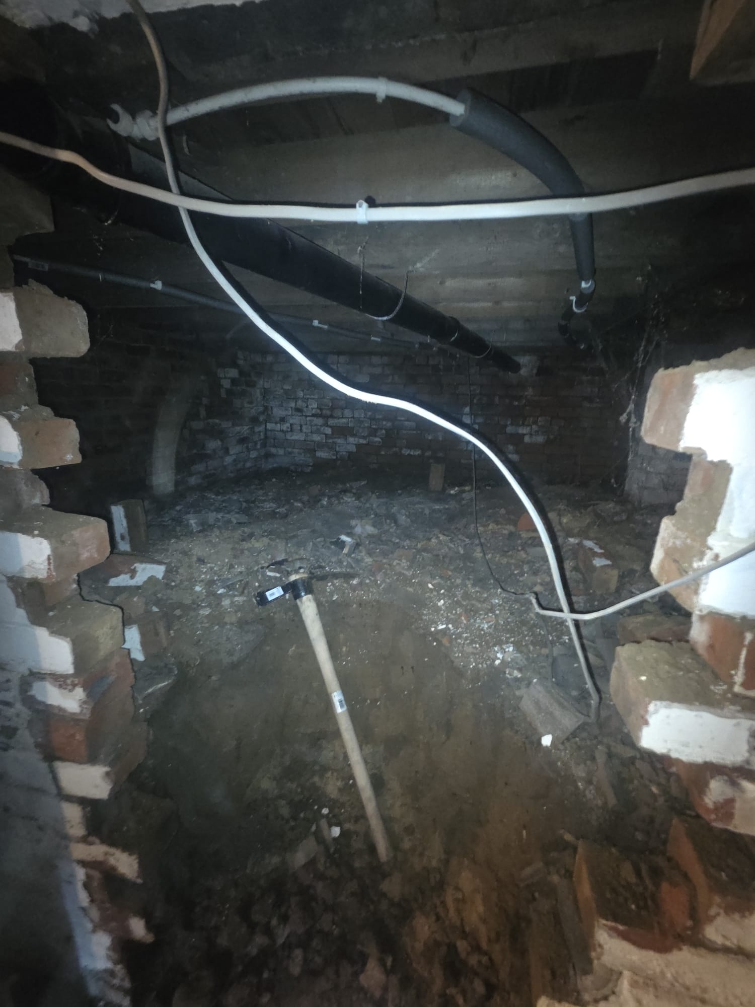 Basement Dreams 's image