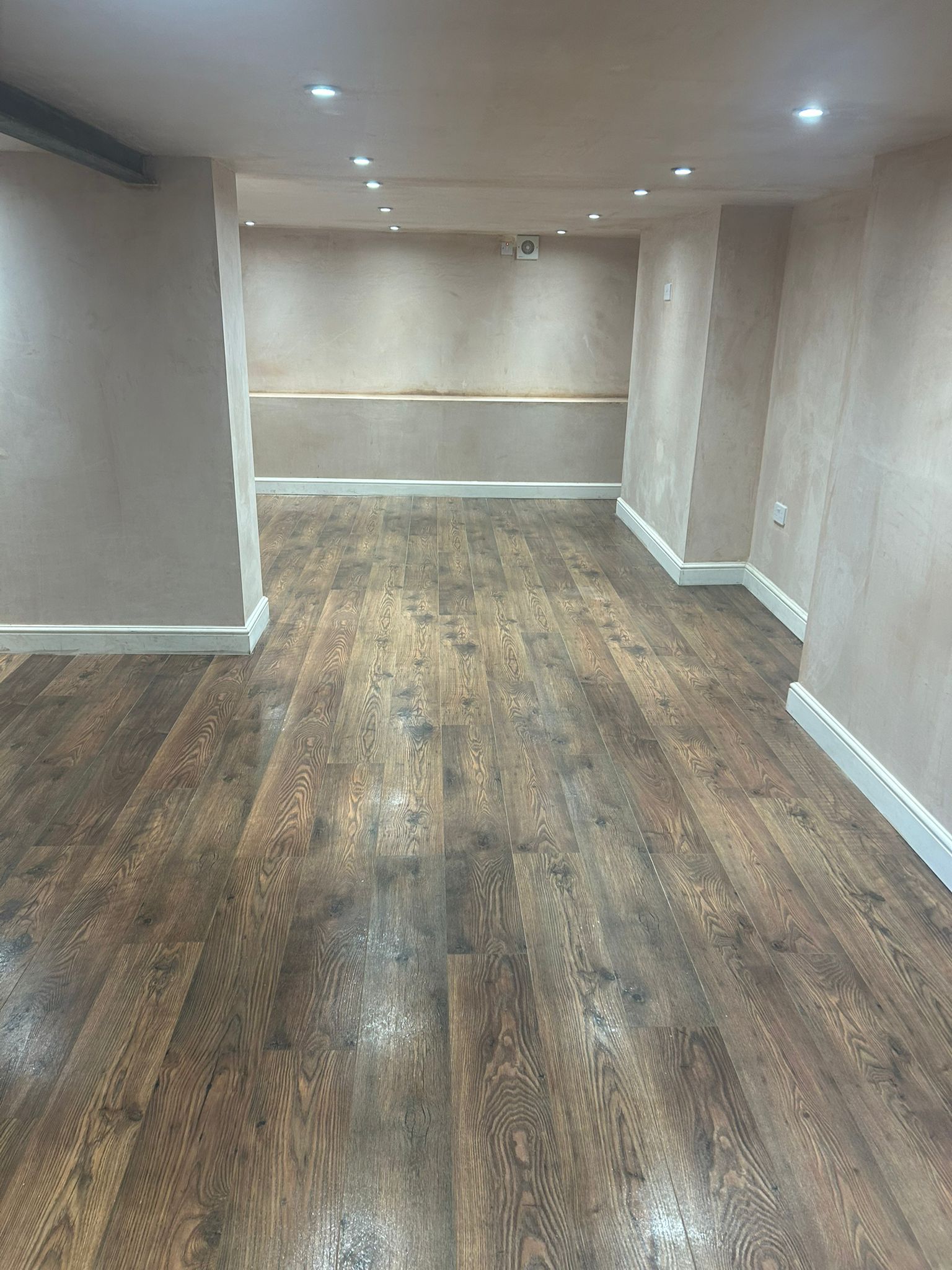 Basement Dreams 's image