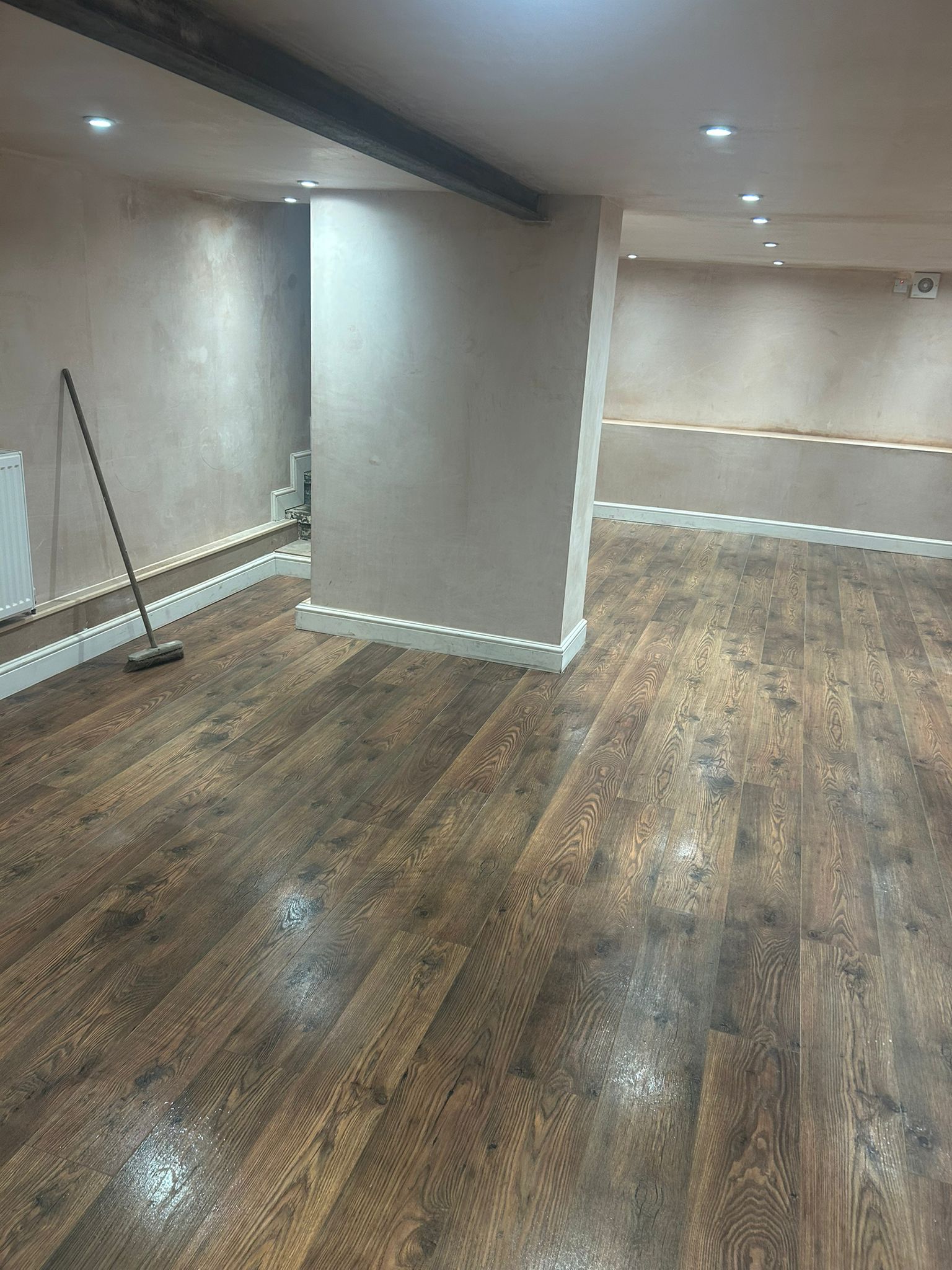 Basement Dreams 's image