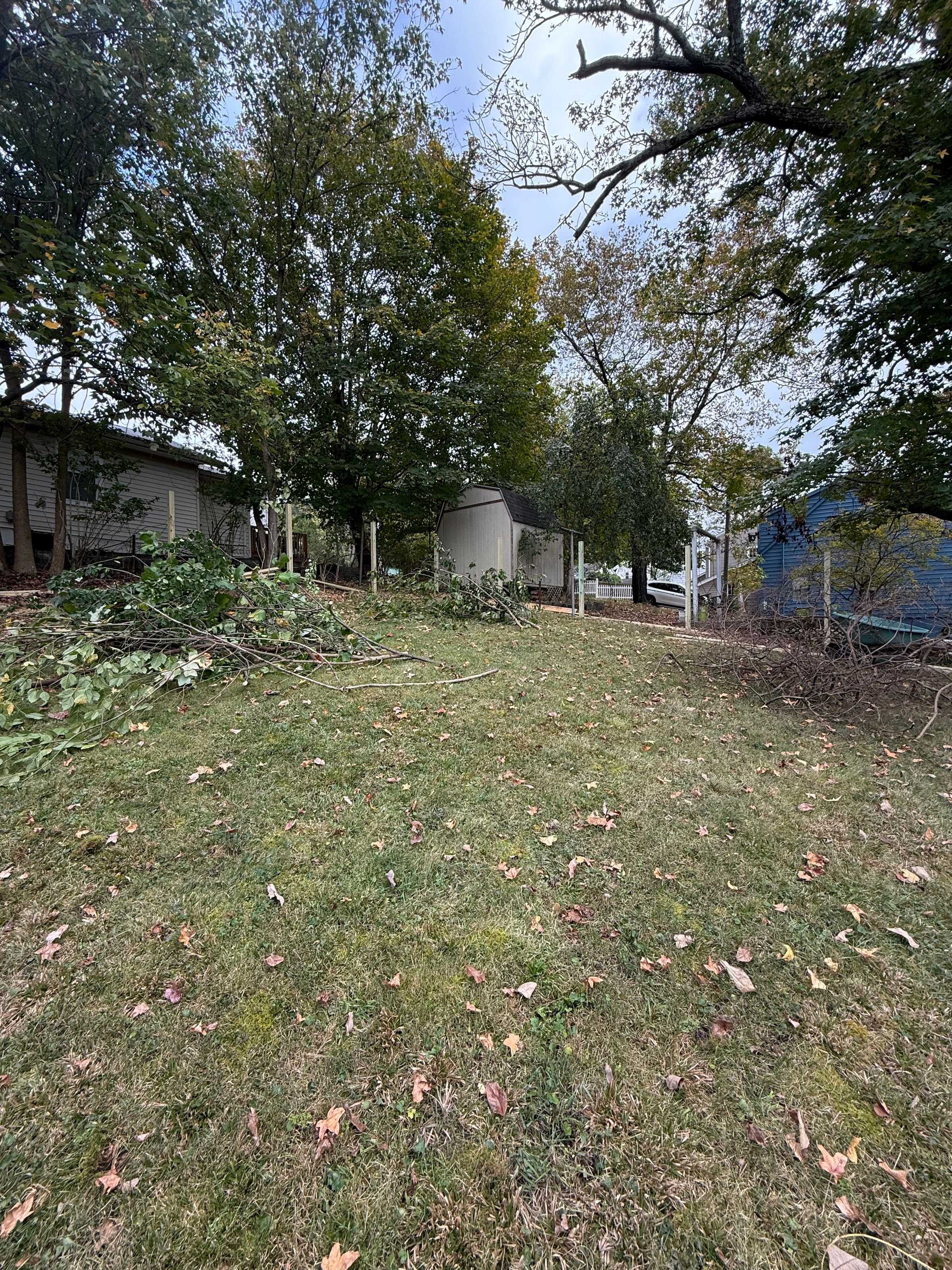 Picket Perfect's image