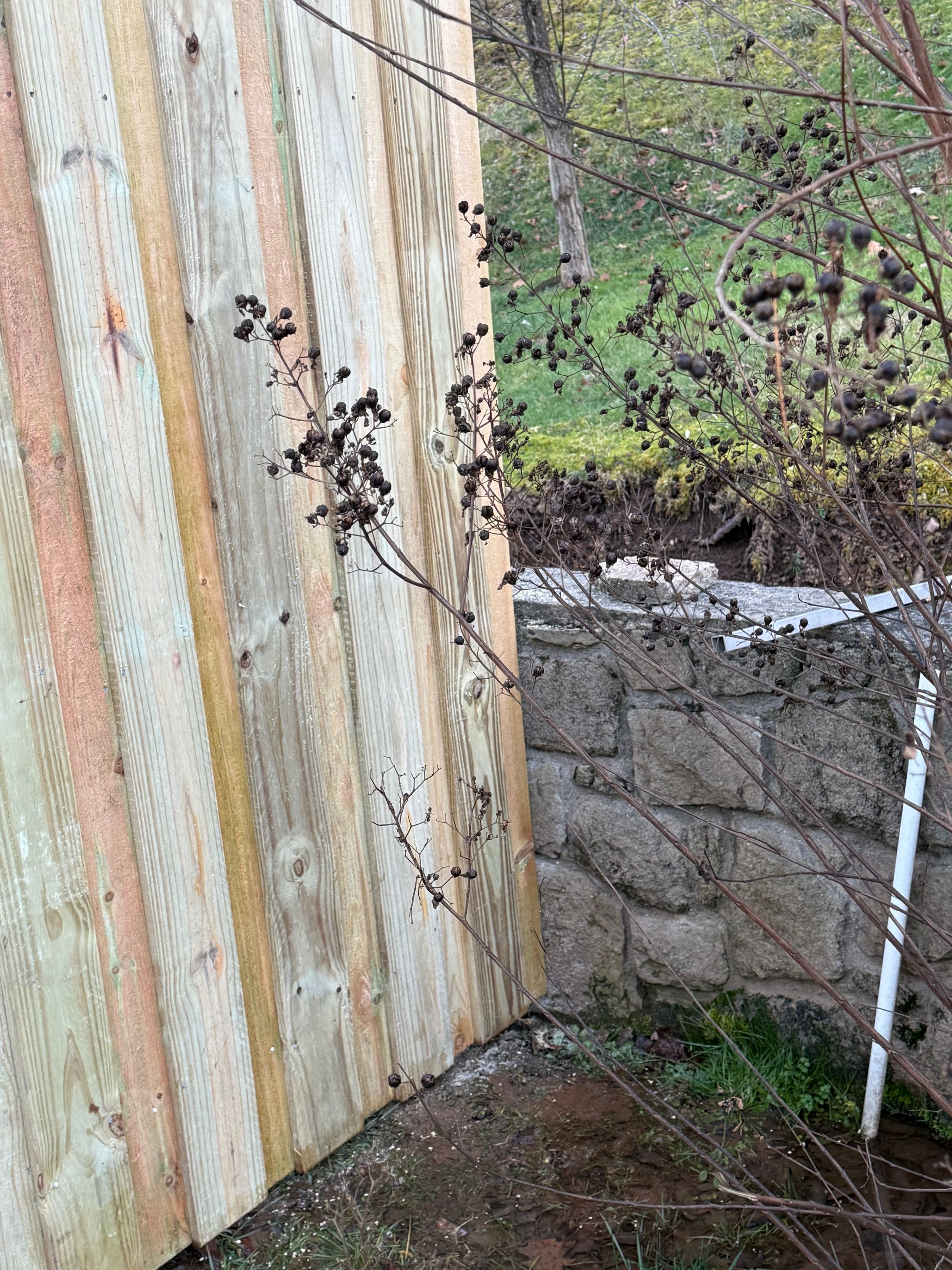 Picket Perfect's image