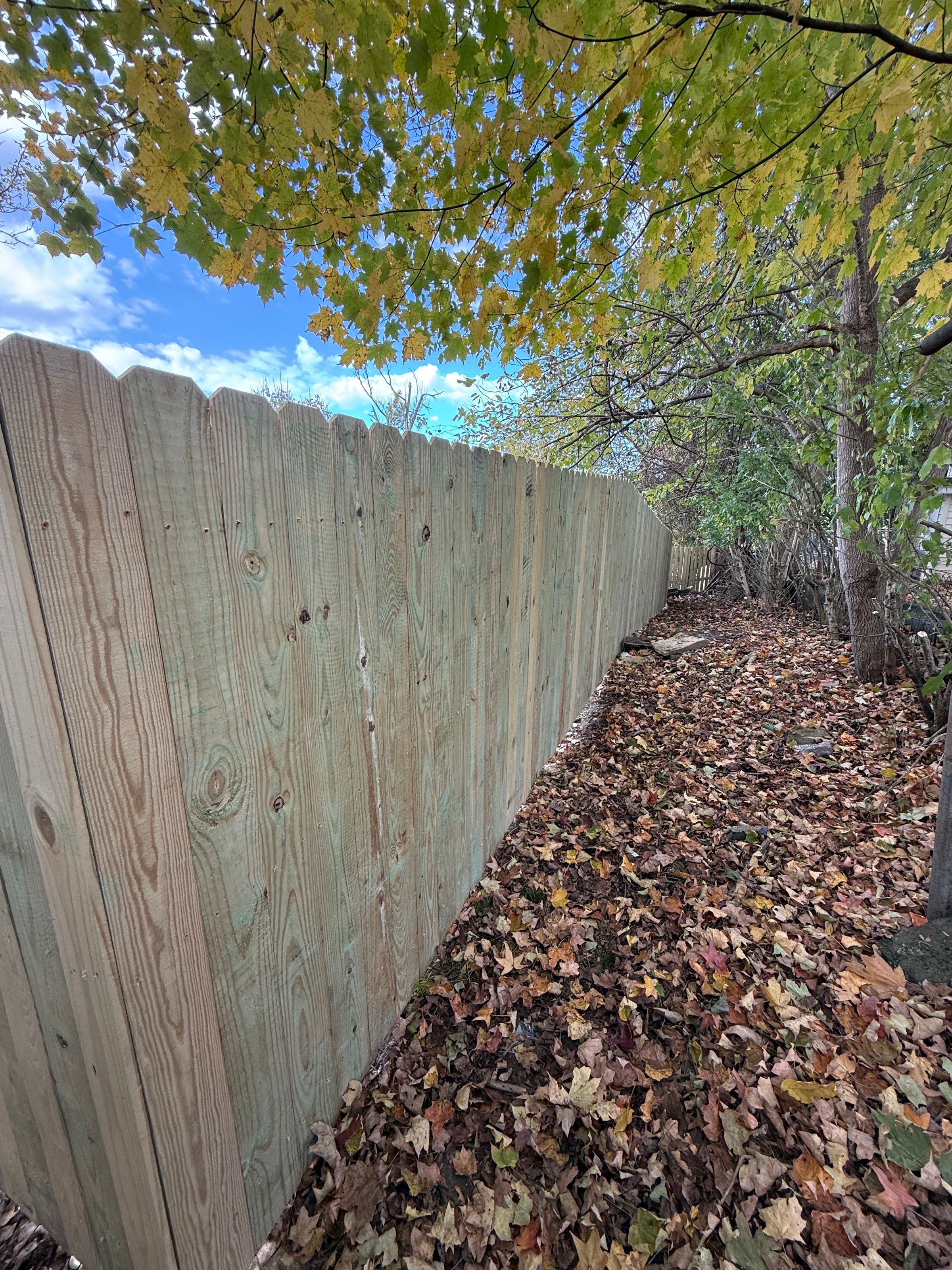 Picket Perfect's image