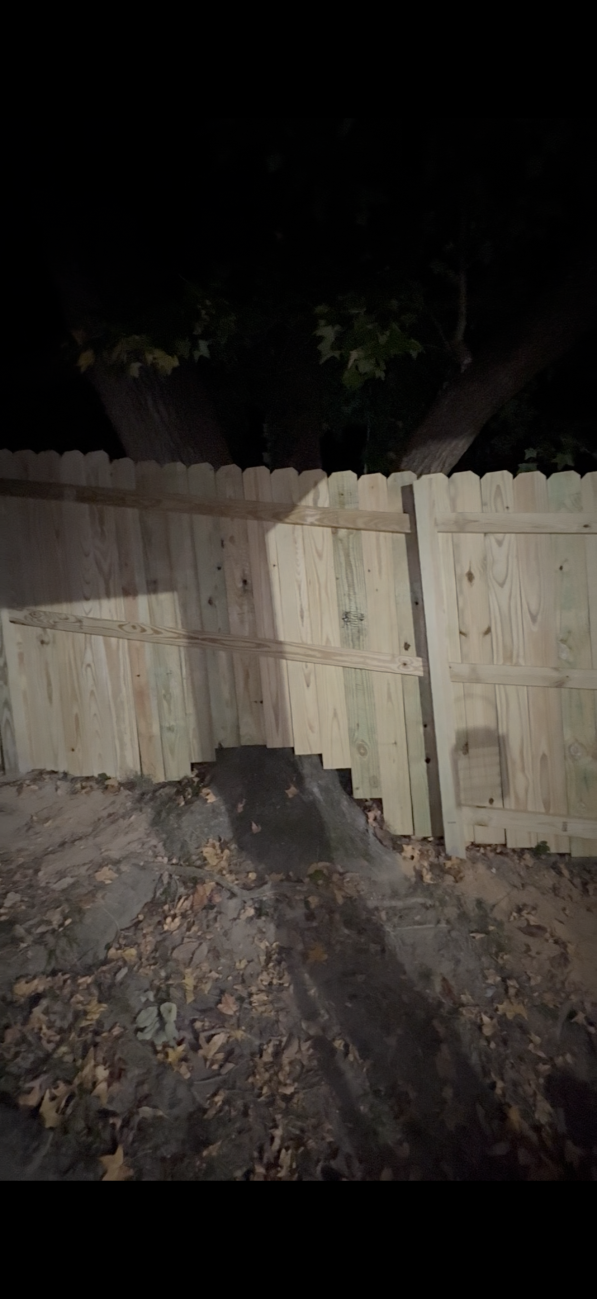 Picket Perfect's image