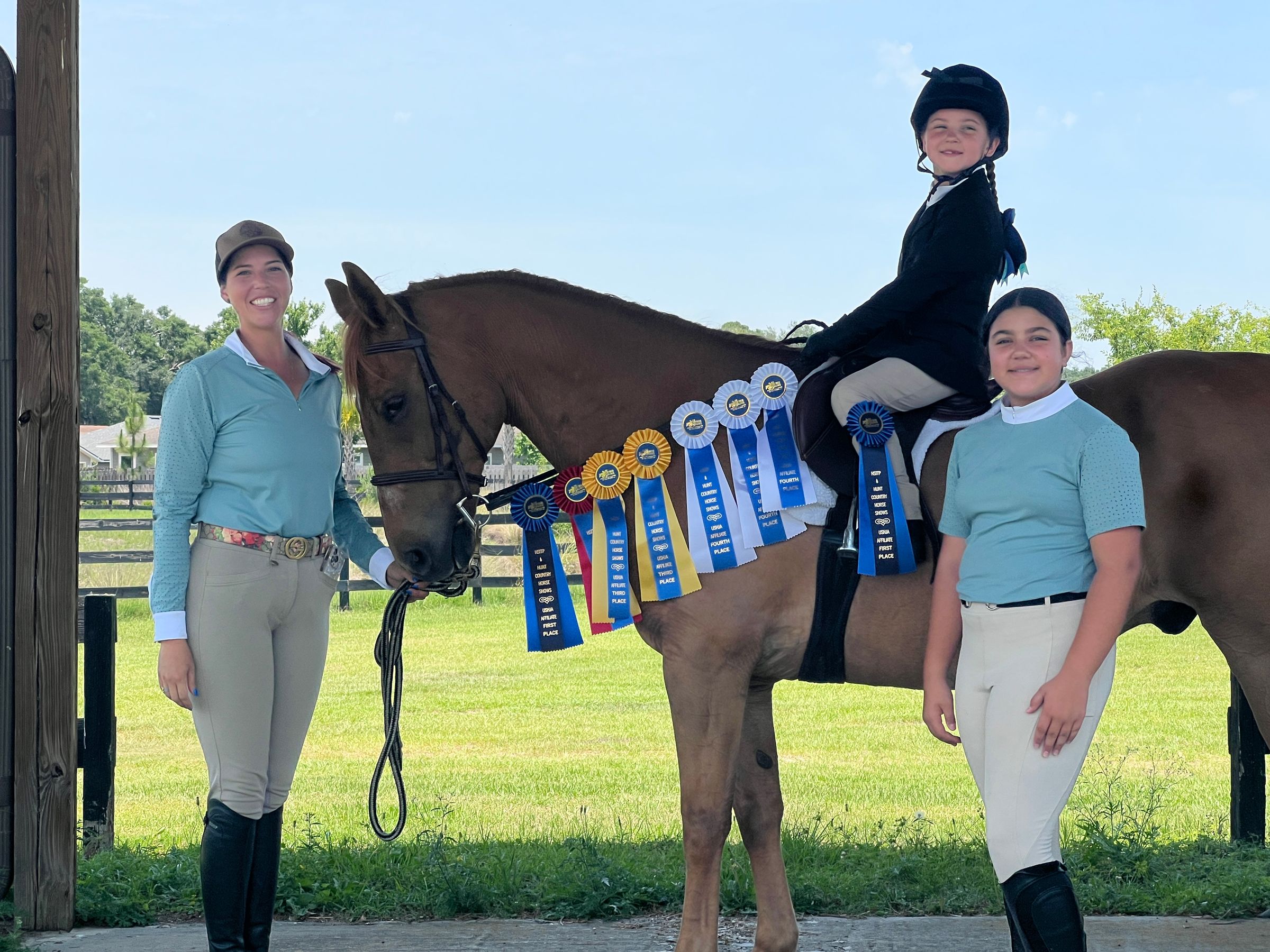 Sulu Equestrian's image