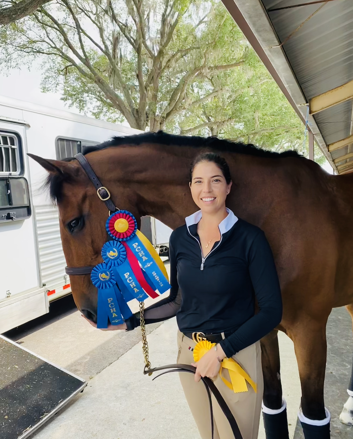 Sulu Equestrian's image