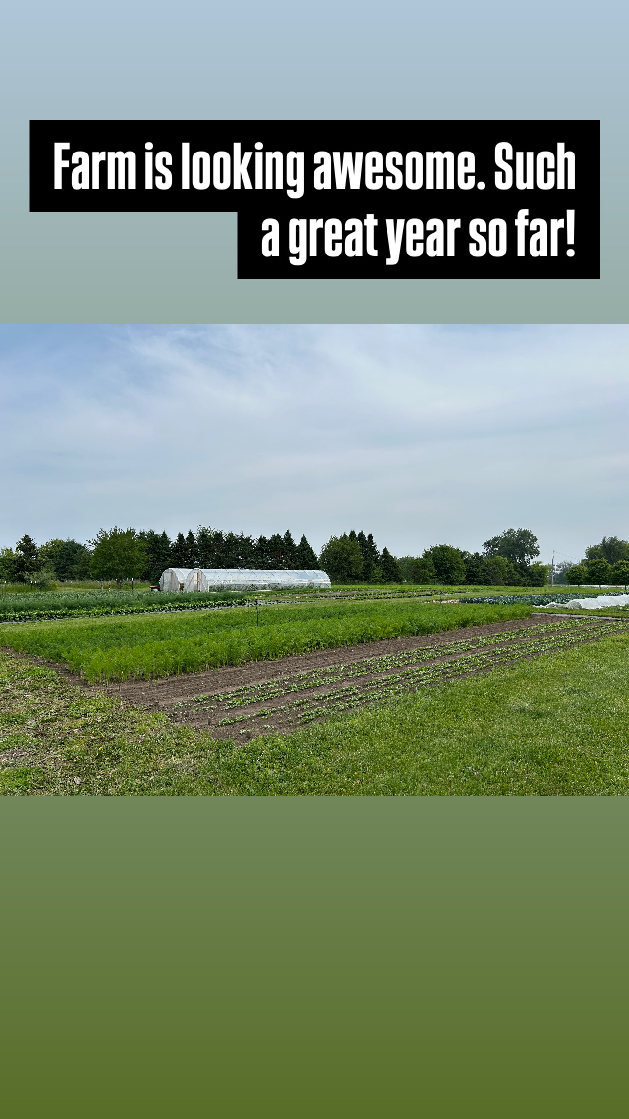 soulshine farm 's image