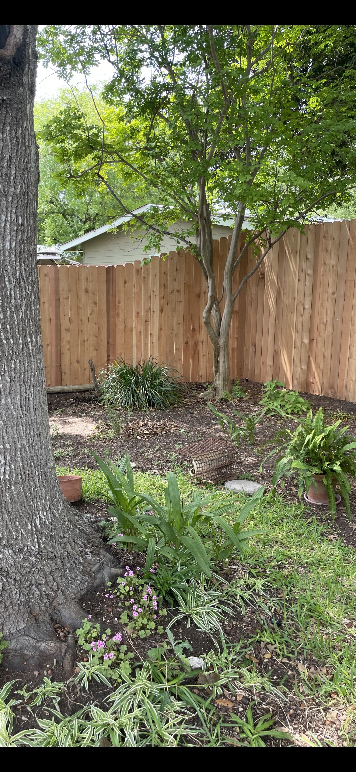 Central Texas Fencing's image