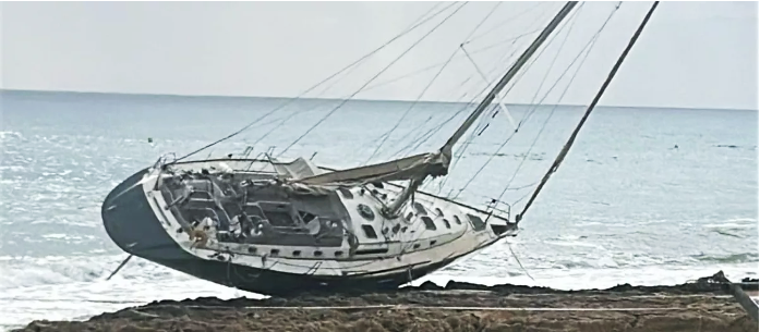 Desarrollo & Sinergia en la Empresa's image