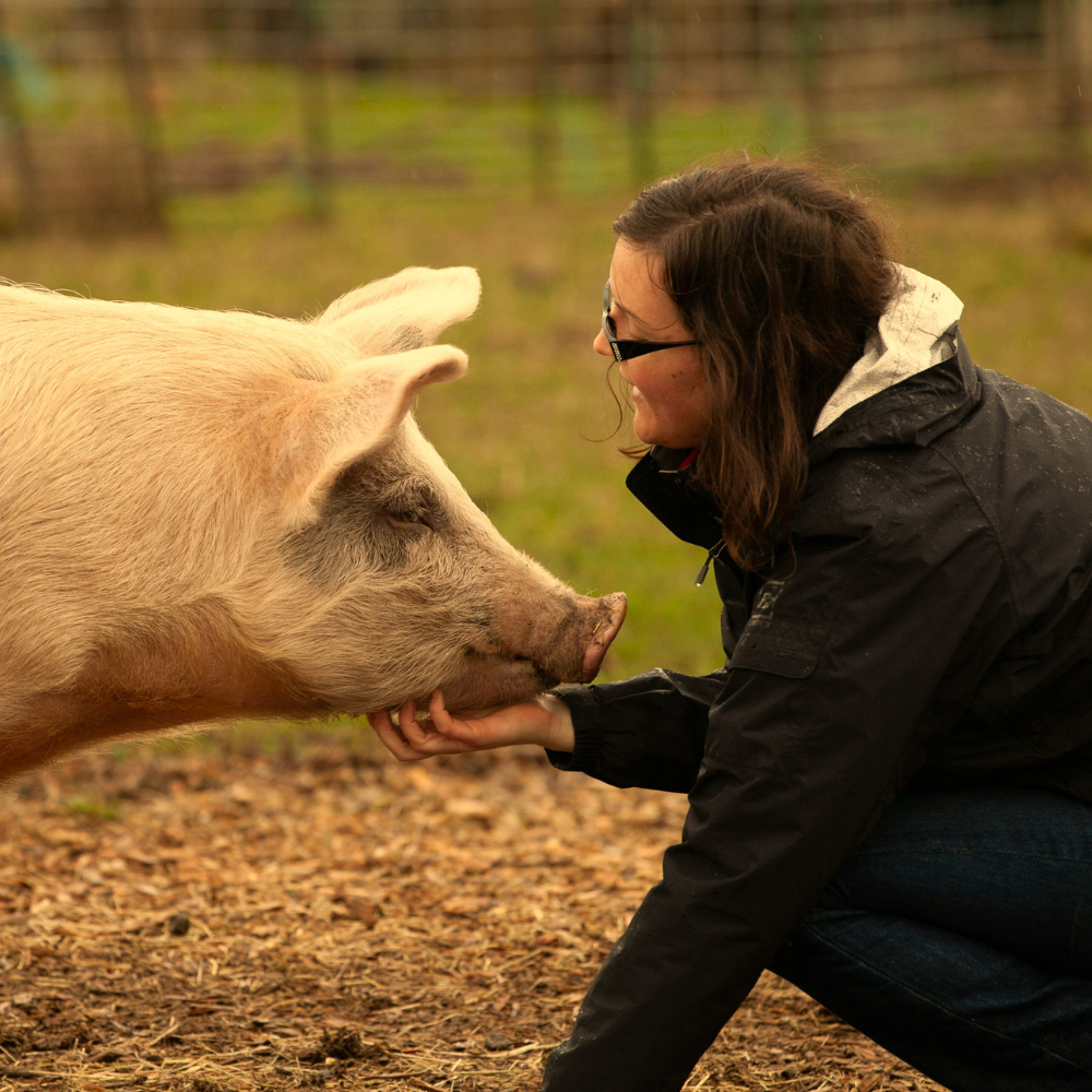 Hope Blossom Farm's image