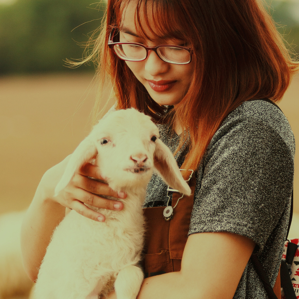 Hope Blossom Farm's image