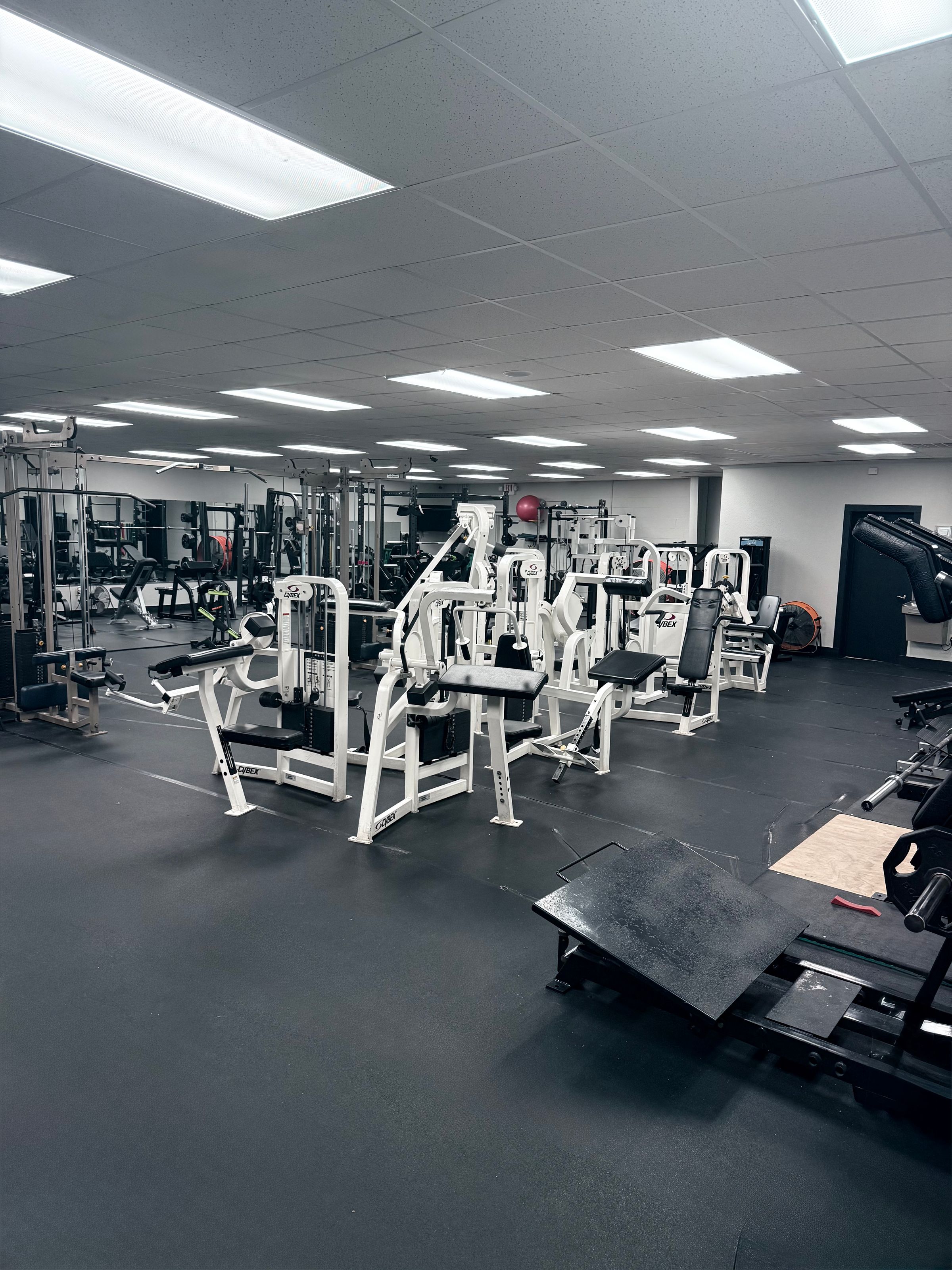 Durabull Fitness's image