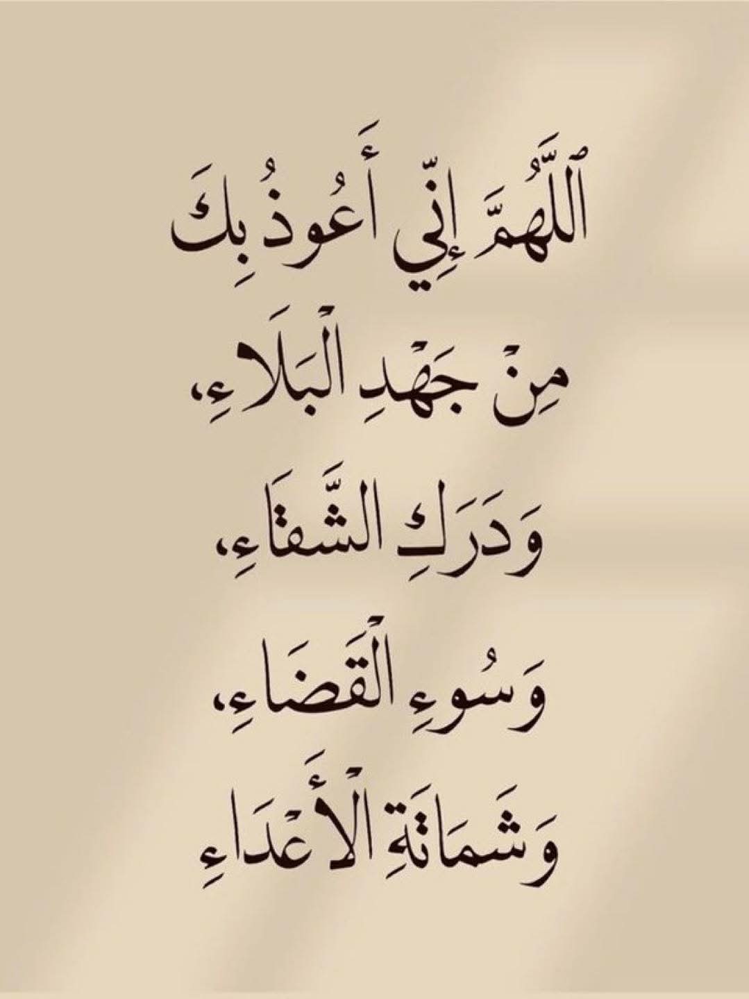 Hidup Biarlah Berjasa's image