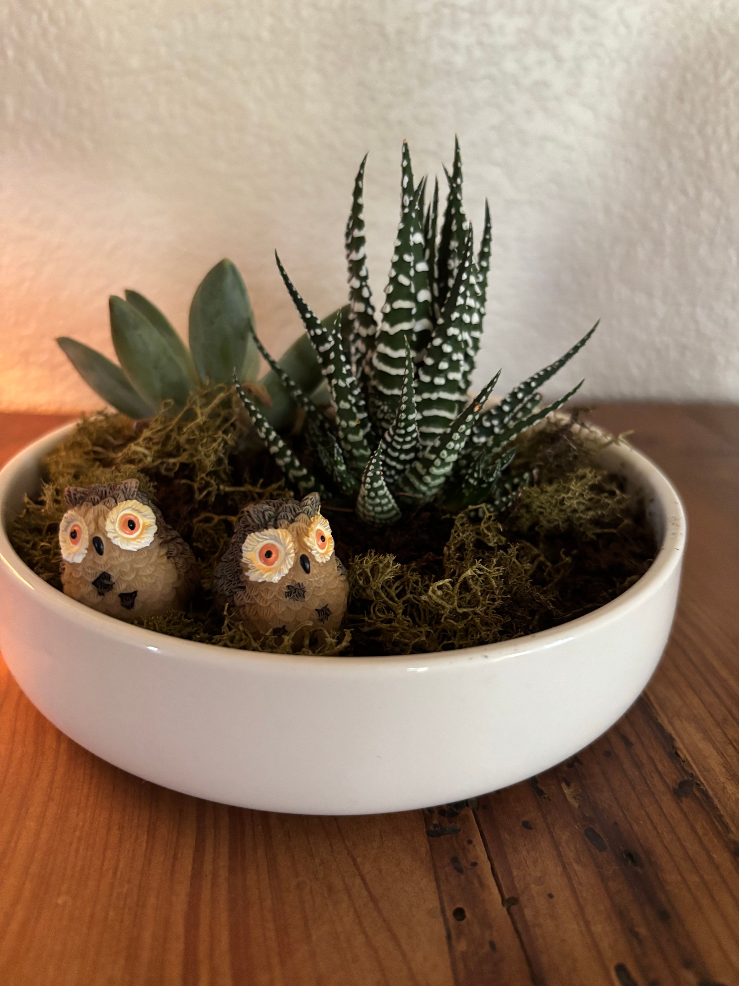 Twin Owl Fairy Garden 