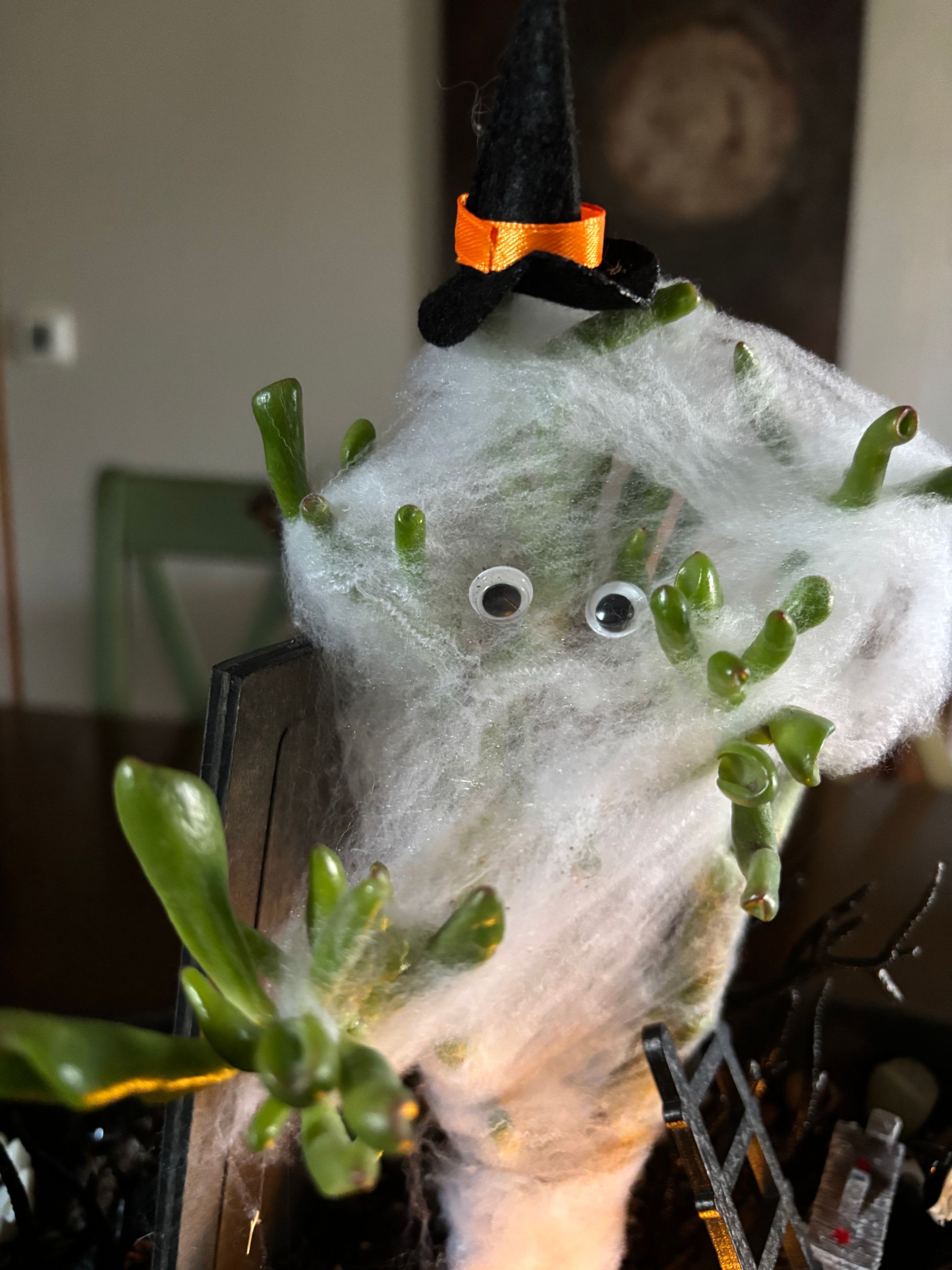 Halloween Townie 