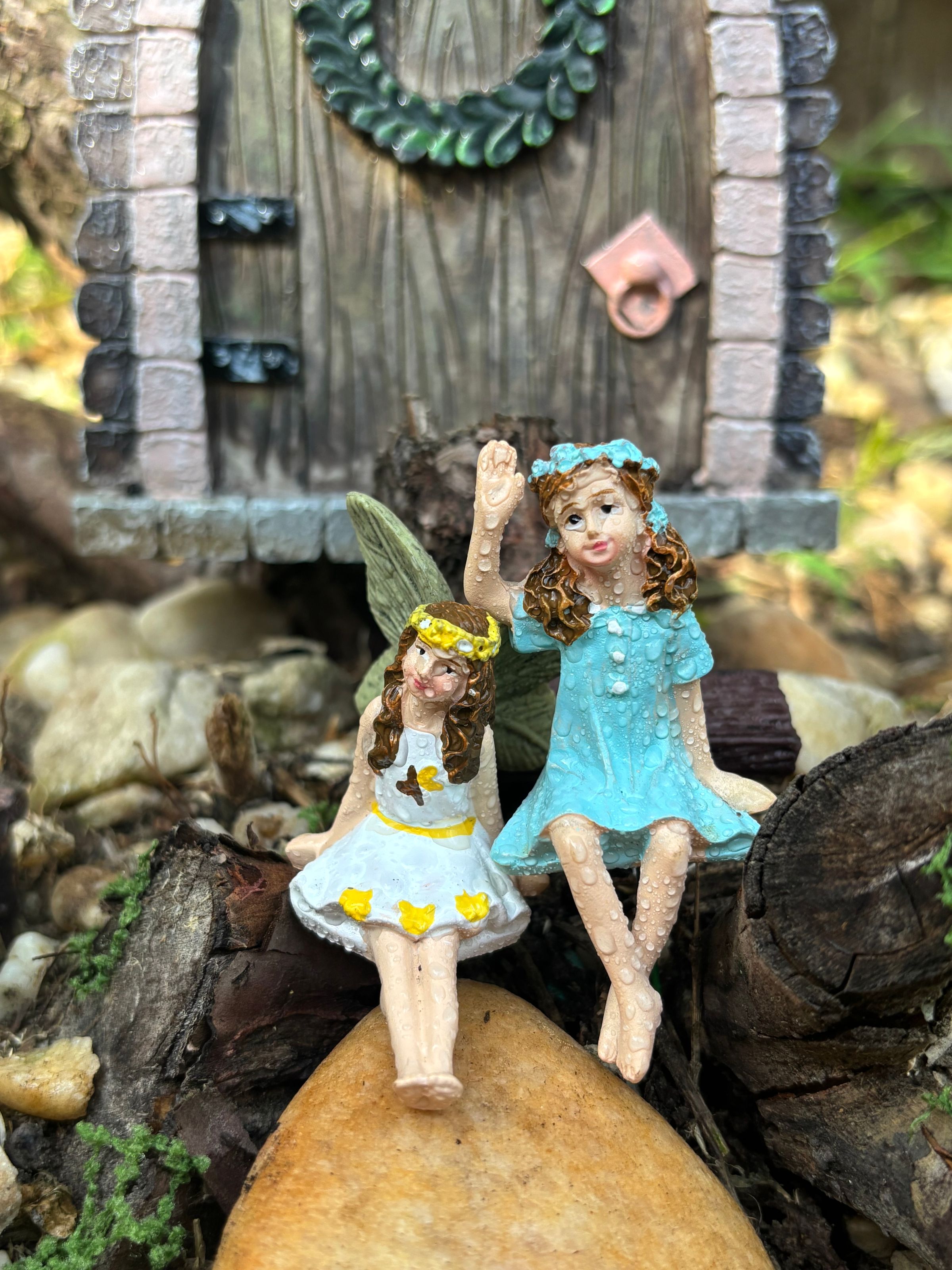 Pair of Pixie Fairies 