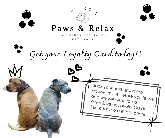 Paws & Relax's image