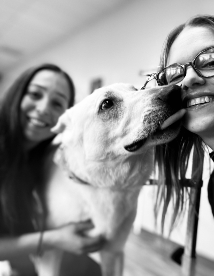 - Cat D. with Ares and Koda - avatar