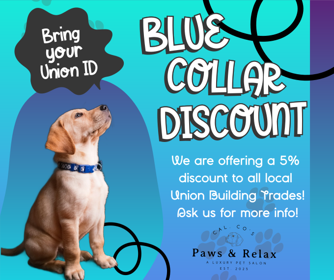 Paws & Relax's image