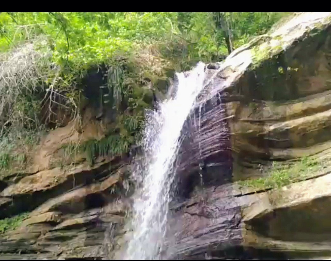 YRUSH LUXE ESCAPE LLC's image