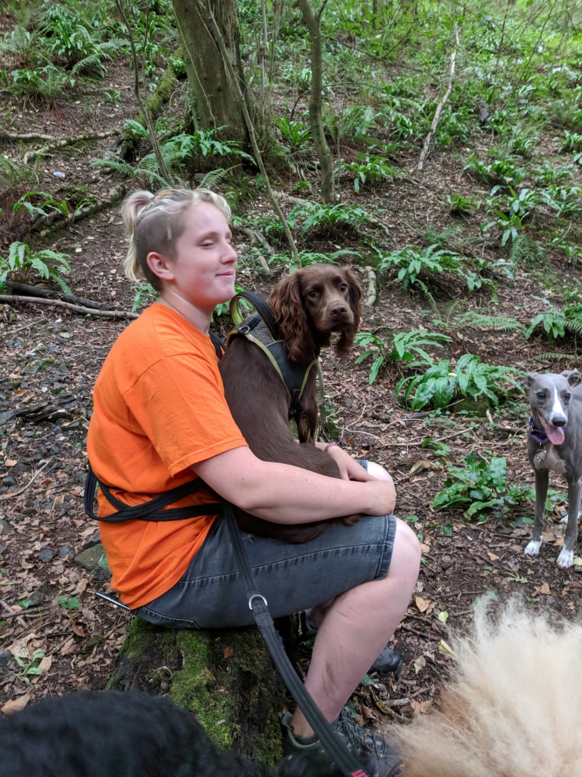 Roaming Paws RCT's image