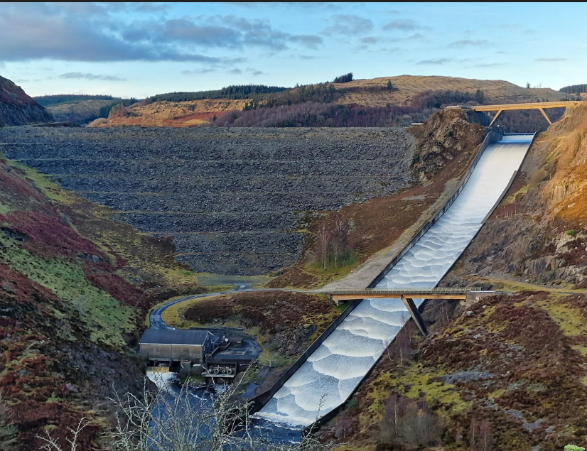 Roaming Paws RCT's image