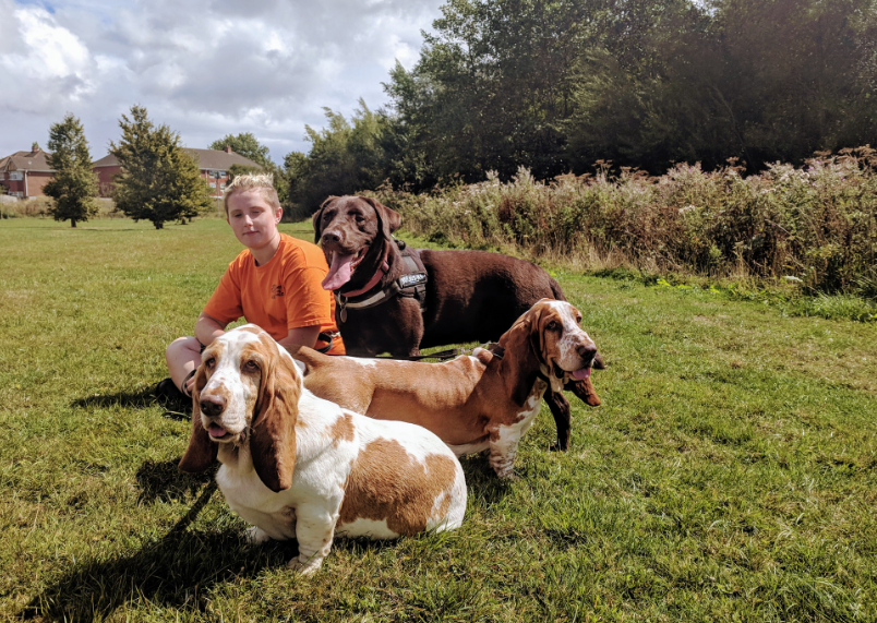 Roaming Paws RCT's image