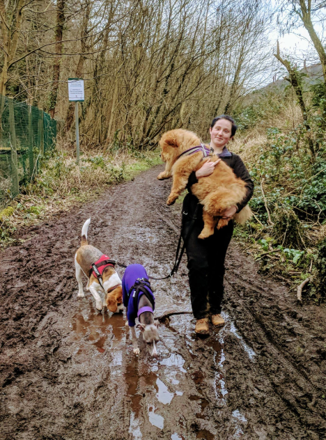 Roaming Paws RCT's image