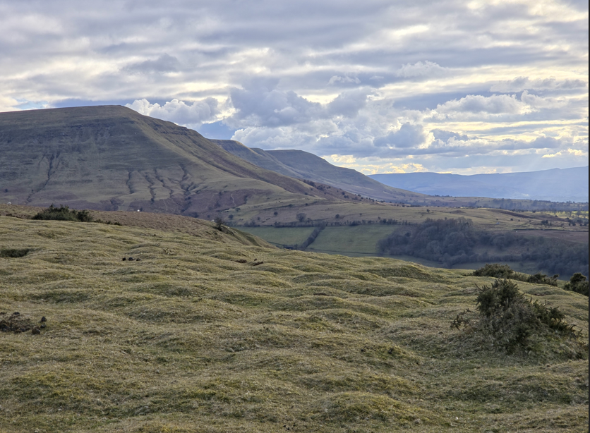 Roaming Paws RCT's image