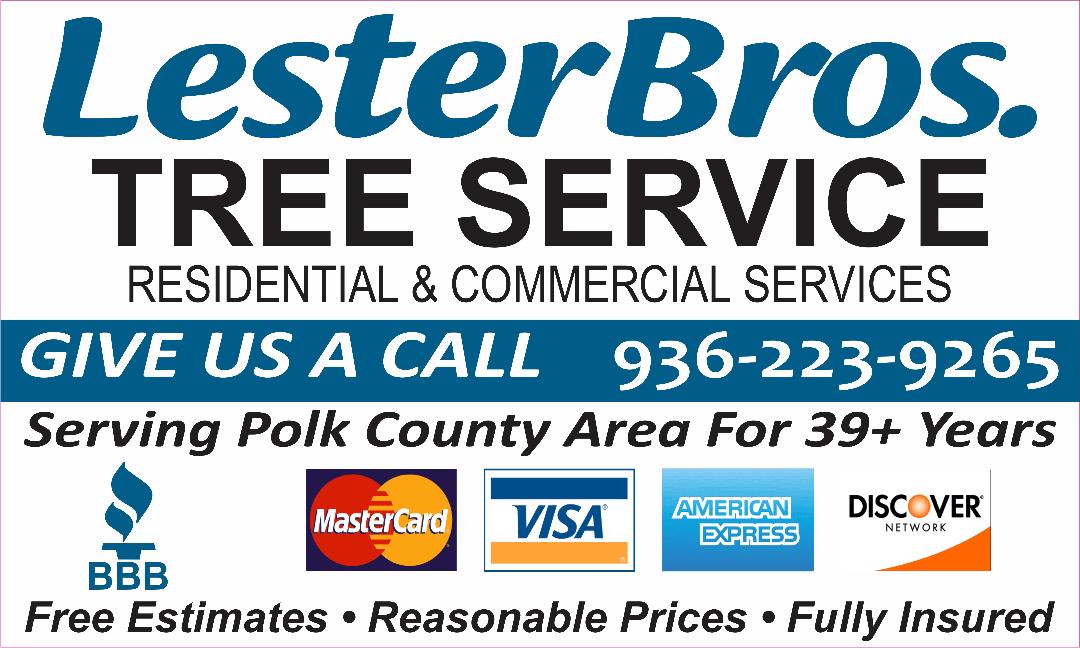 Grow Your Bowling Alley Revenue with No Upfront Cost's image