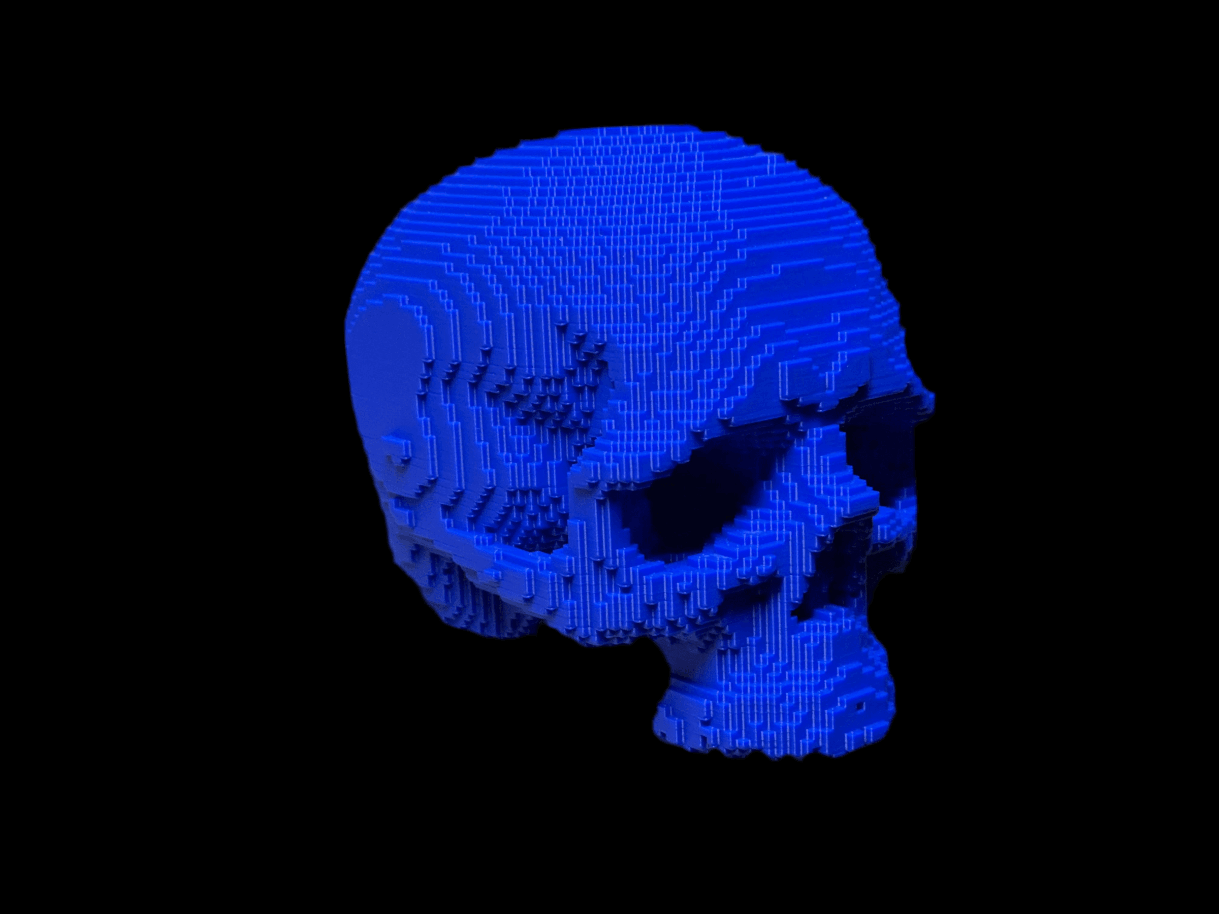 Megapixel Skull