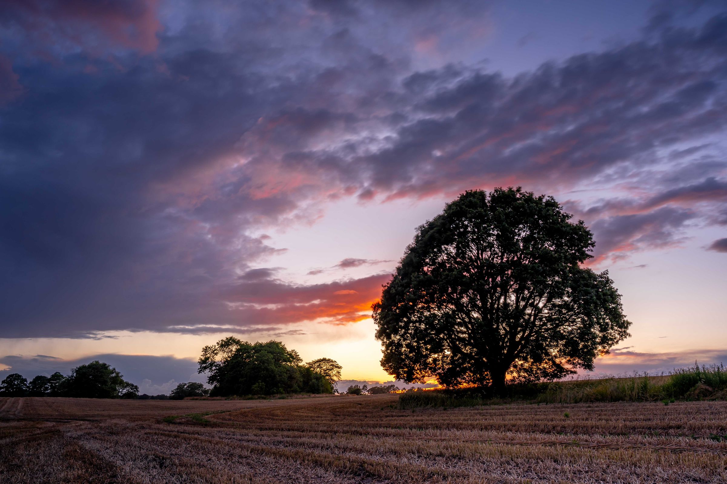 Christoph Witzemann 's image
