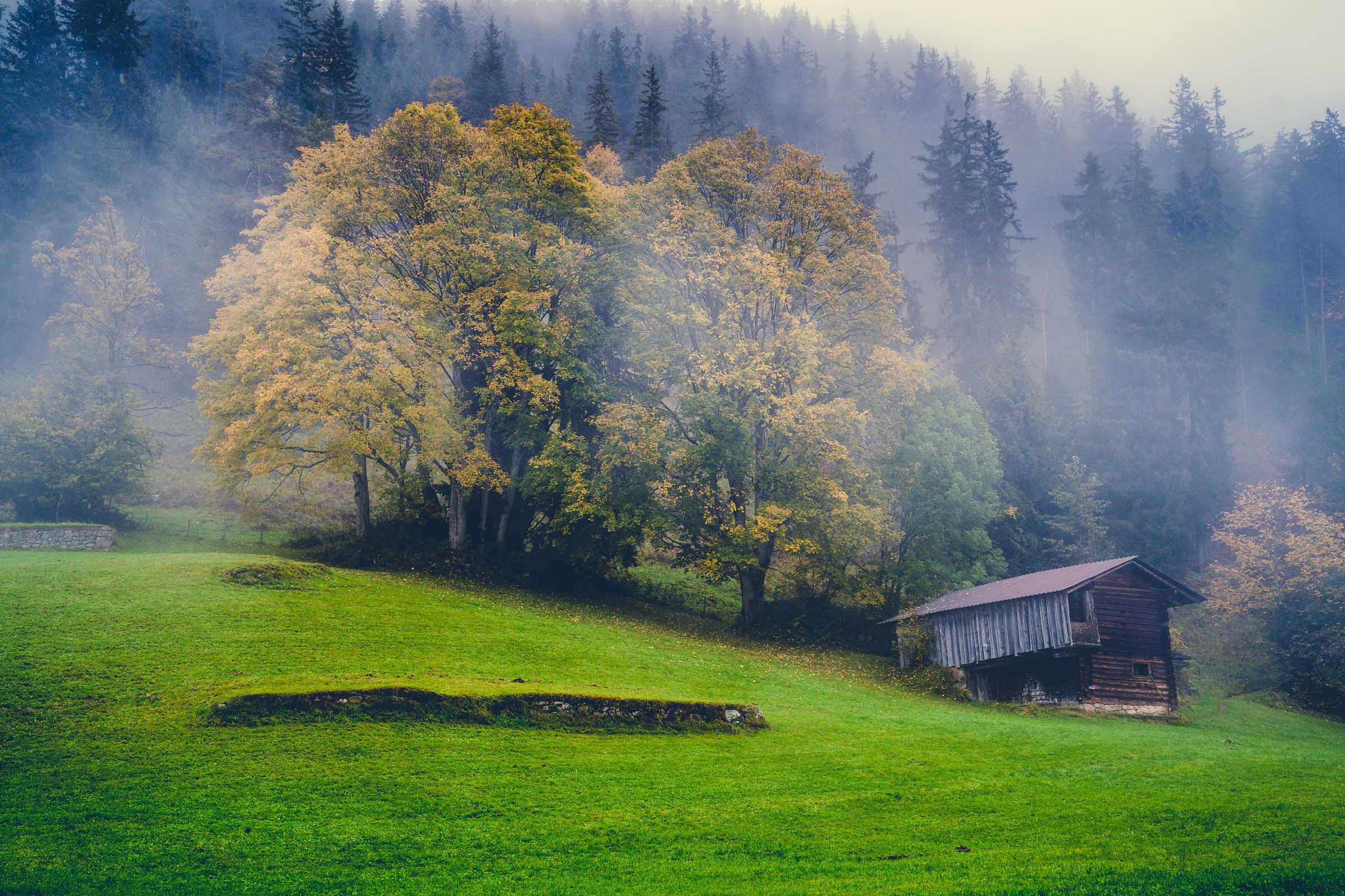 Hütte im Nebel