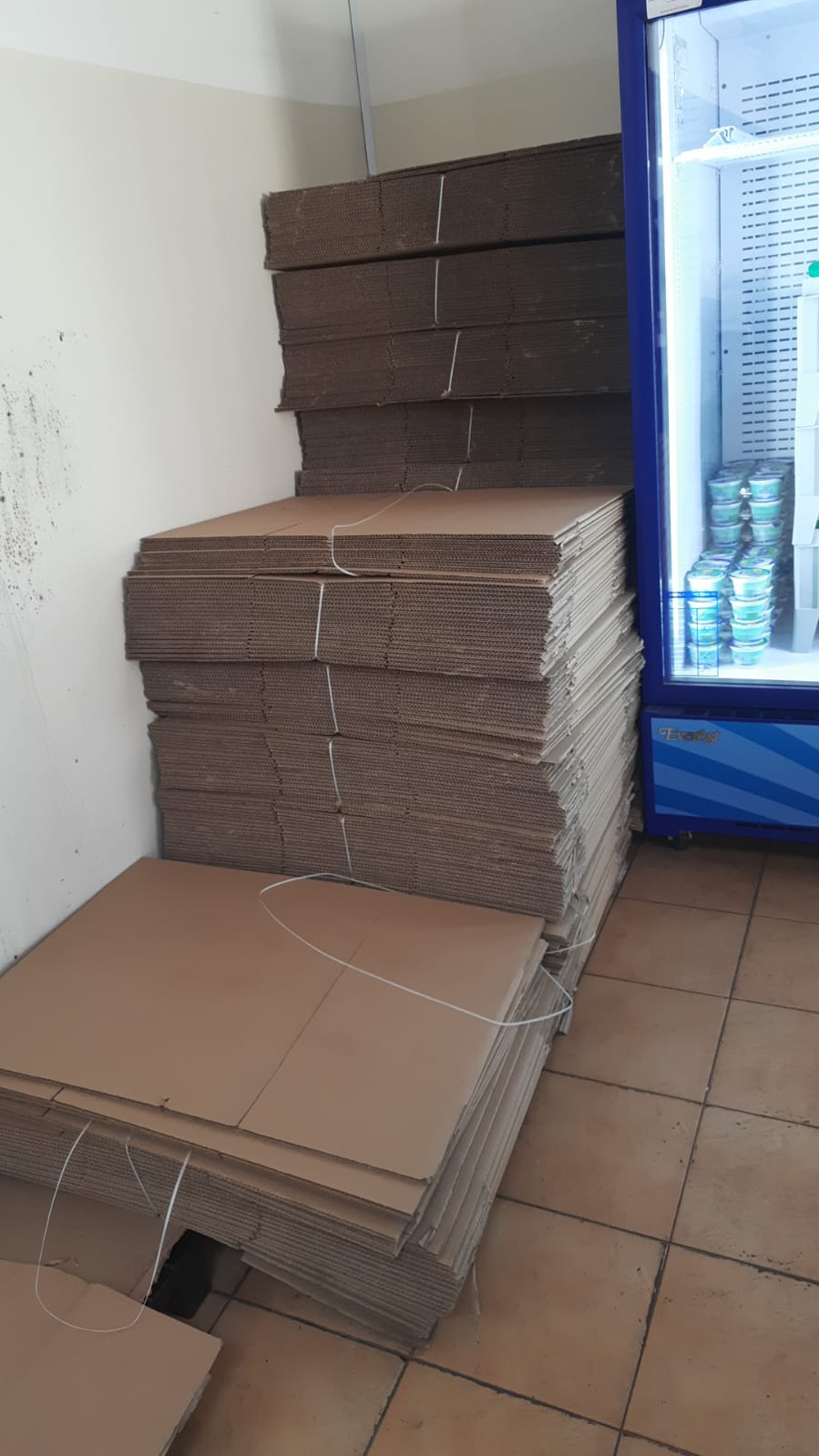 CARGO BOX AVAILABLE
