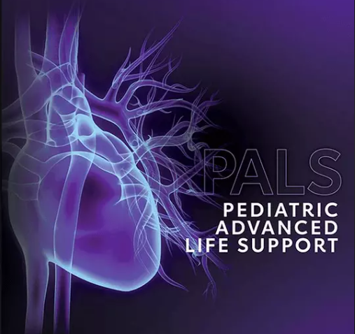 american heart association pediatric advanced life support