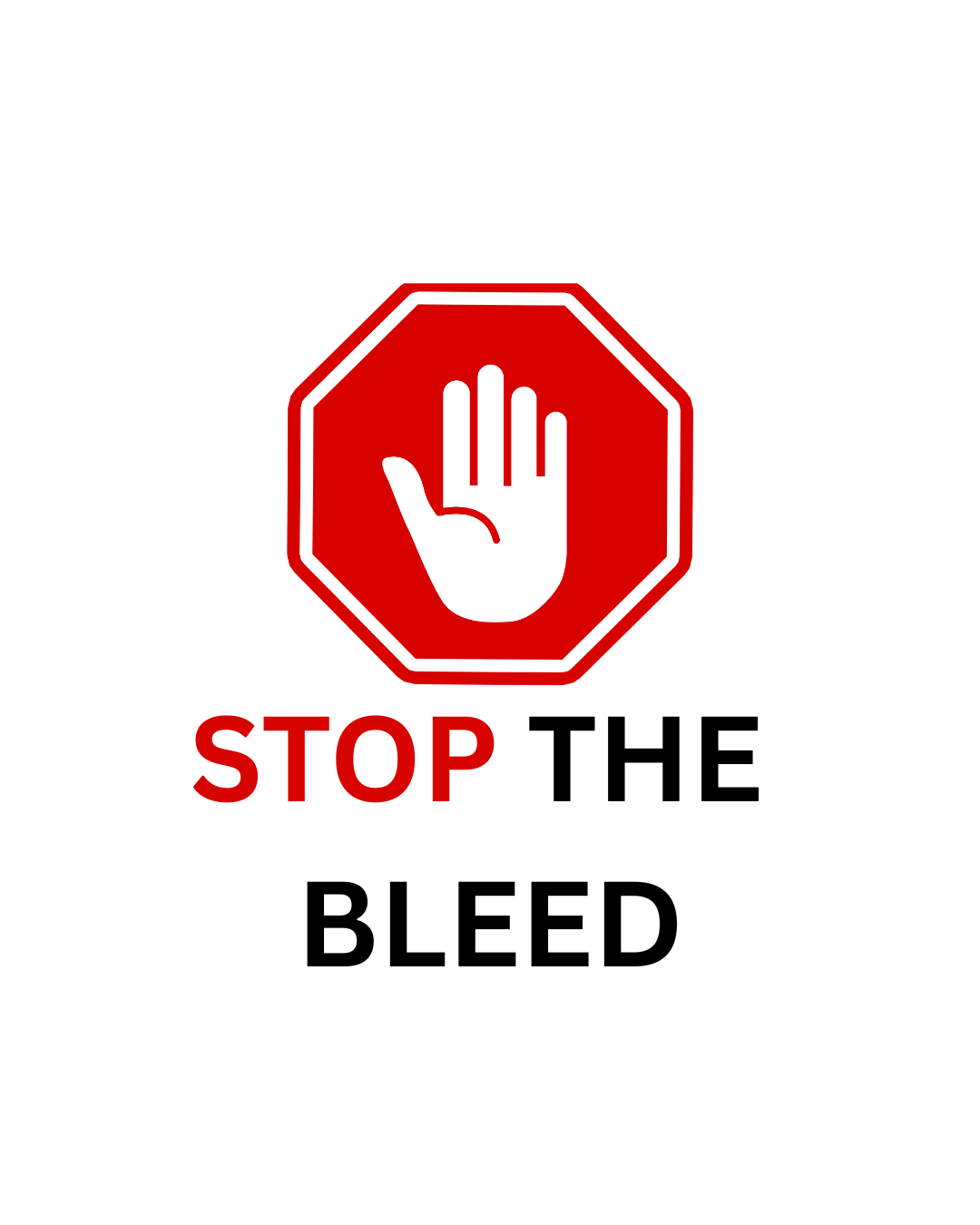 Mobile CPR, First Aid, medical training in Florida's image