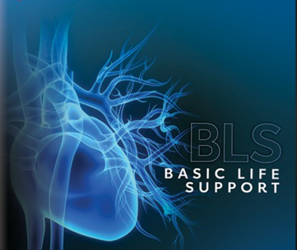 american heart association basic life support