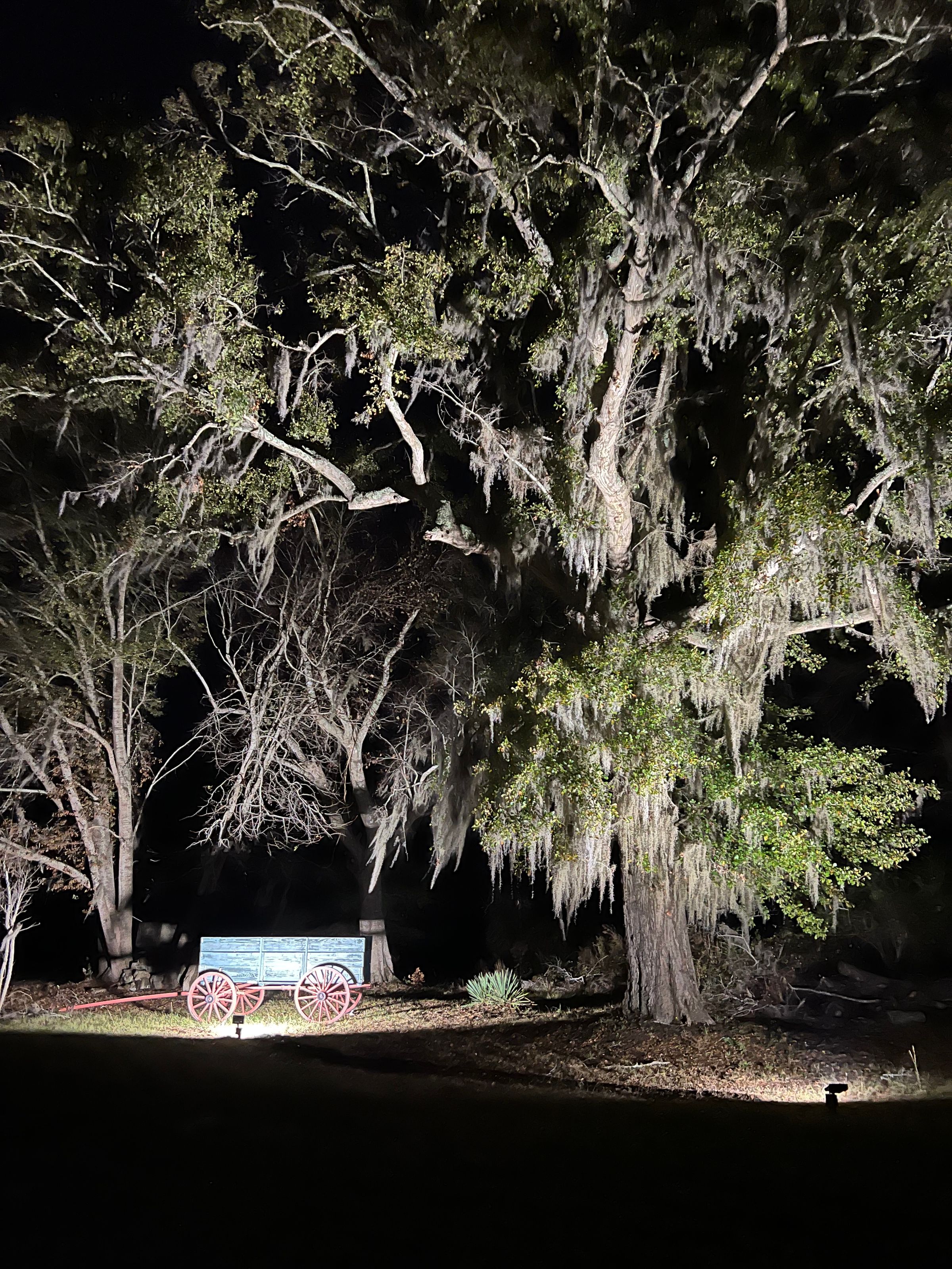 Branco Electric's image