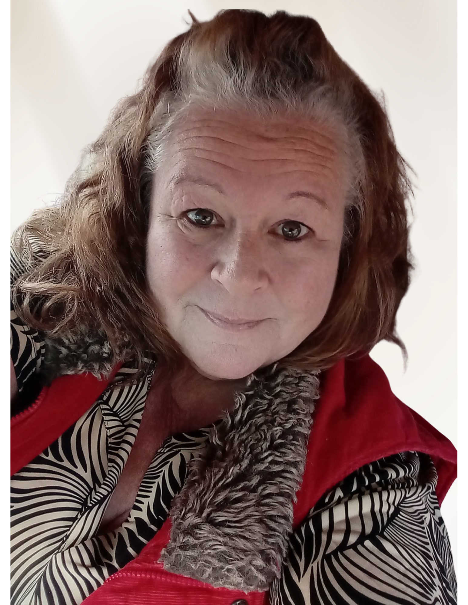 The Bridge - Hope in the Roots's image