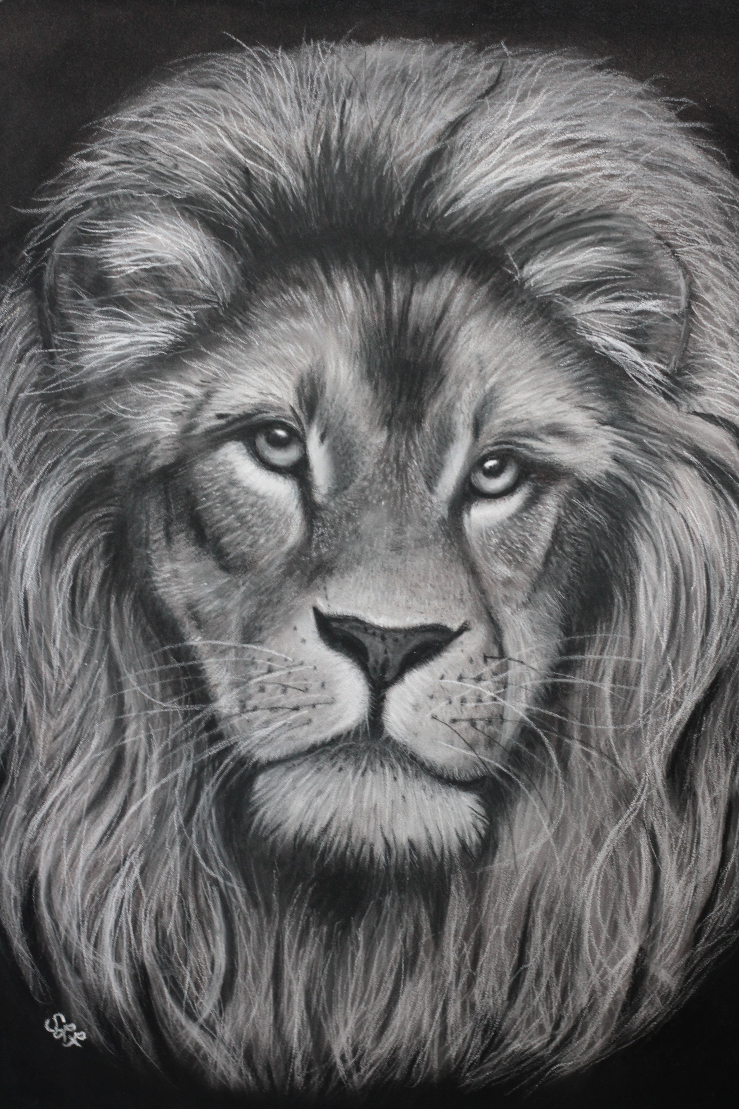 Kainos Art Creations's image