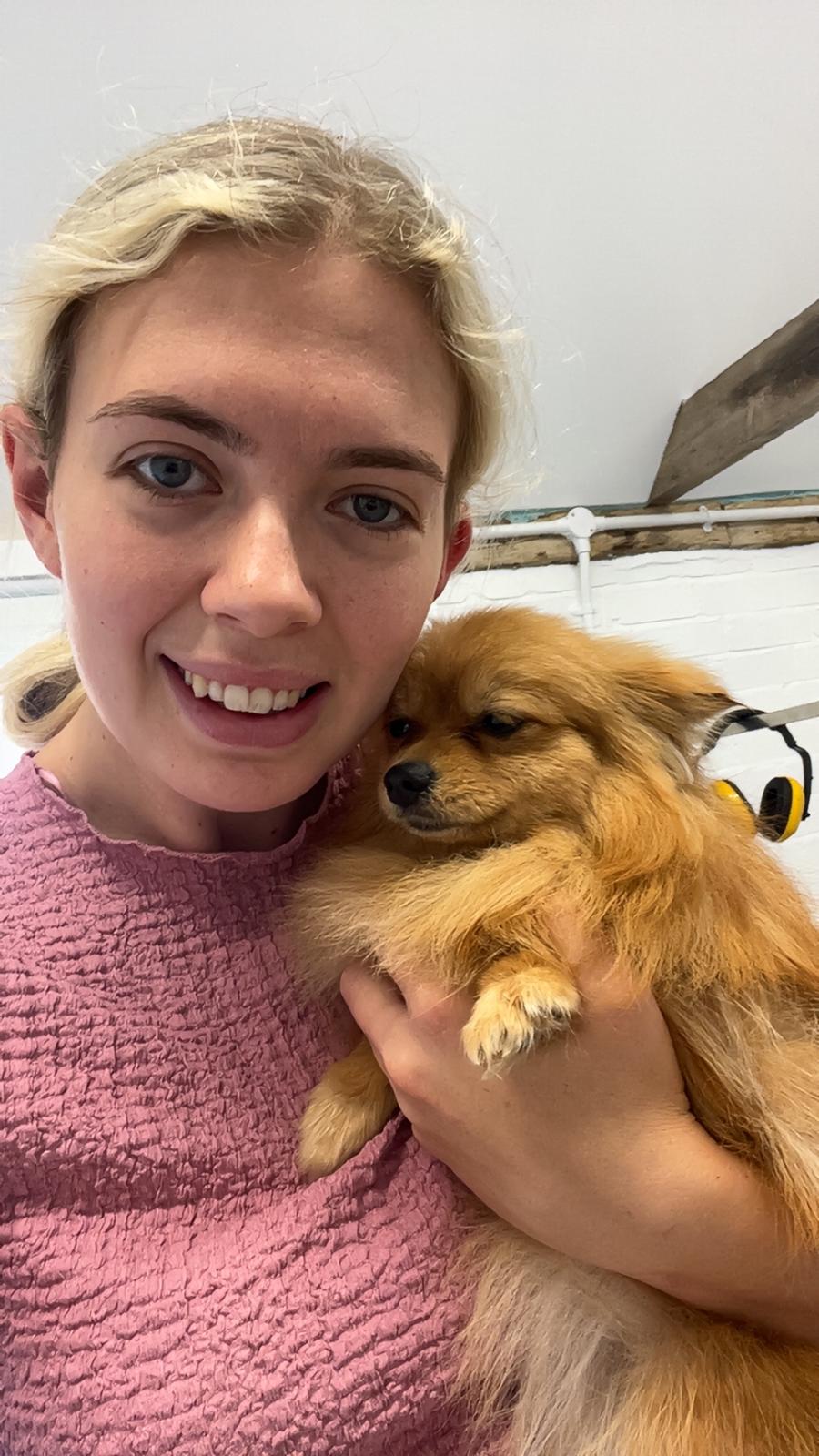 Hair and Hound Dog Grooming's image