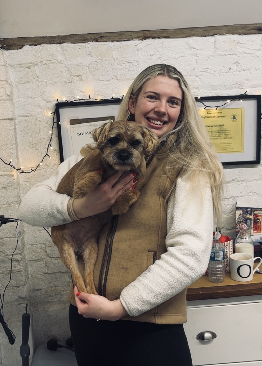 Hair and Hound Dog Grooming's image