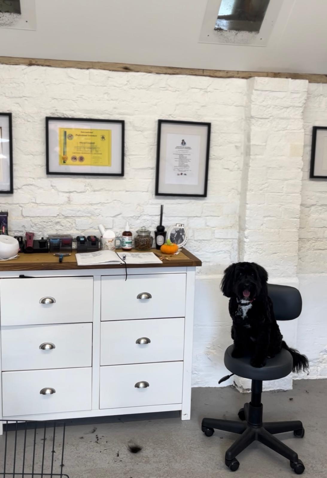 Hair and Hound Dog Grooming's image