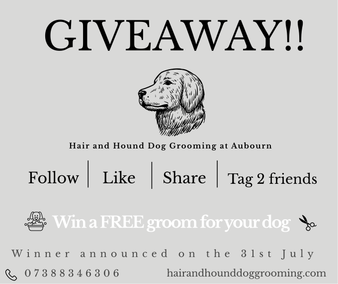 Hair and Hound Dog Grooming's image