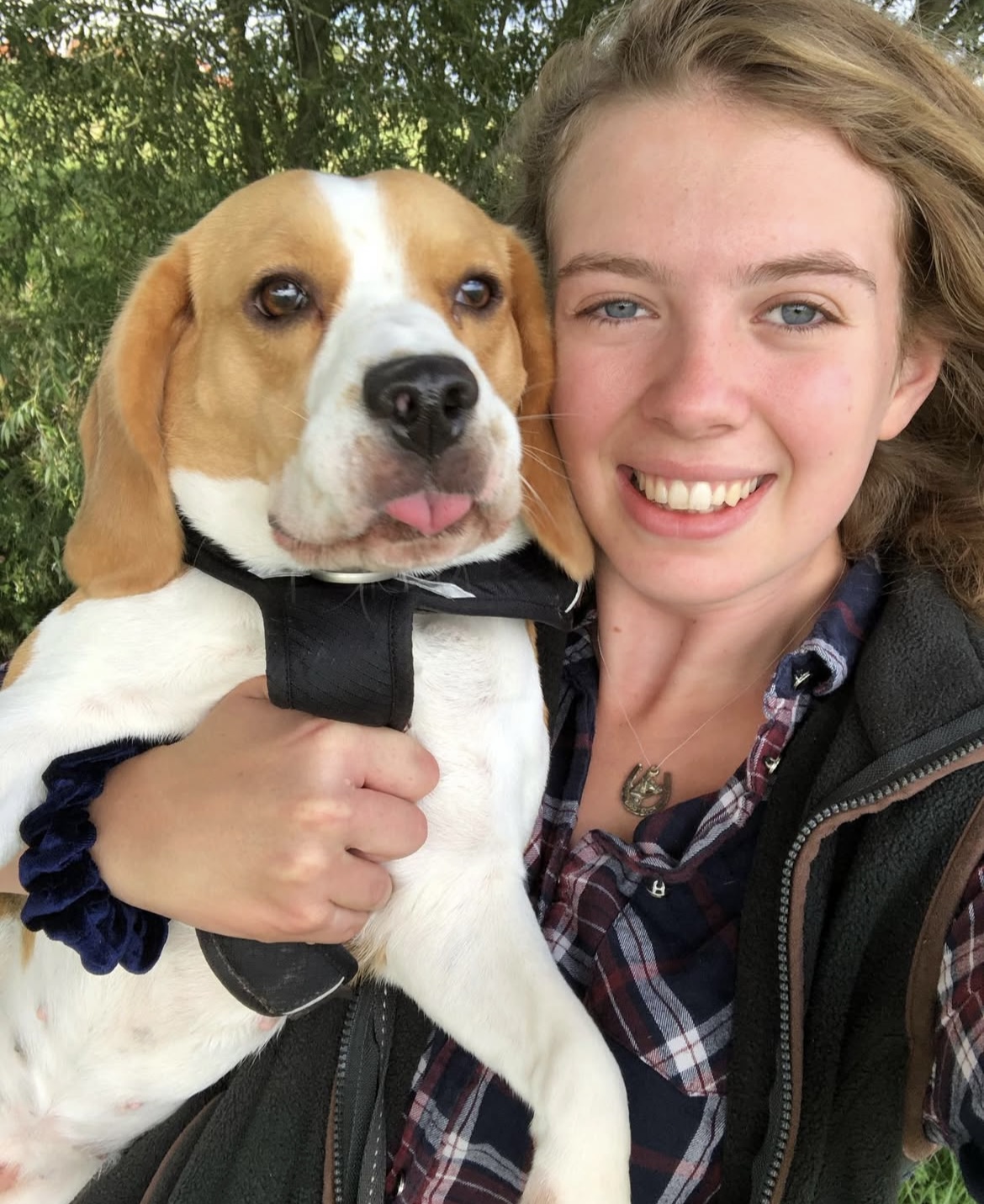 Hair and Hound Dog Grooming's image